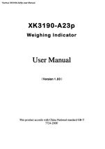 XK3190-A23p user
